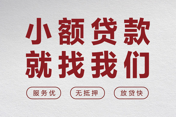 综合对比：在线小额贷款公司平台哪个好，深度解析优劣差异