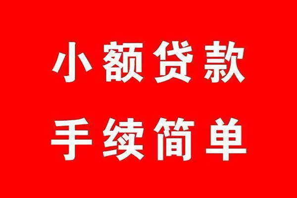 保险借款还款期限最长延期天数解析